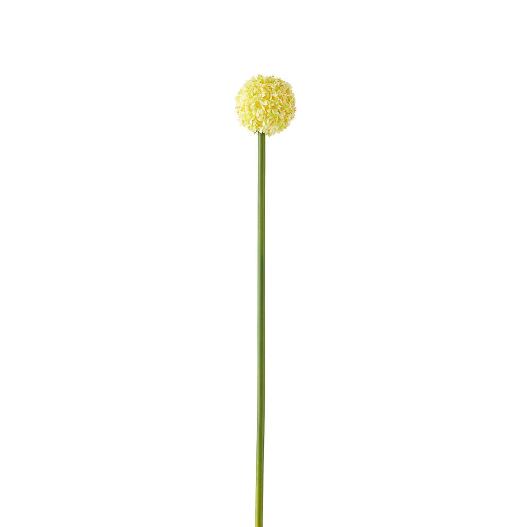 10430302.jpg img
